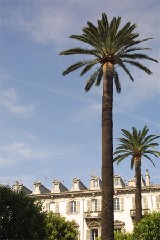 Appartement de grand luxe dans Palais  Nice 