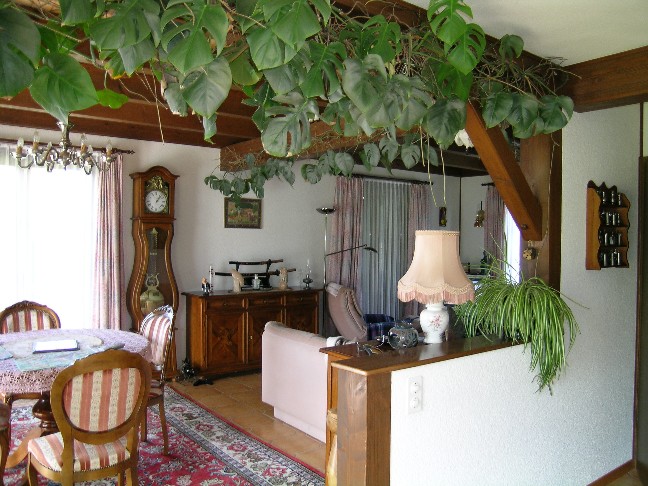 Maison Mitoyenne à Bioley-Orjulaz  (Près Lausanne) 